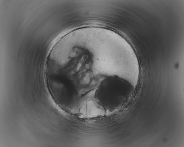 X0000115171379200912091013