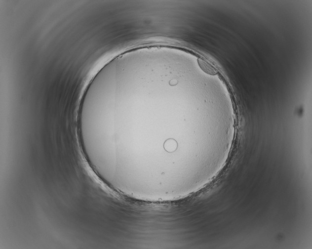 X0000115171381200912091013