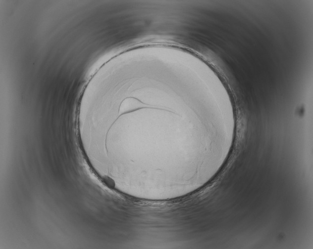 X0000115171382200912091013