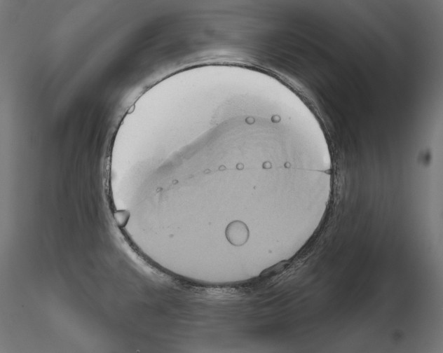 X0000115171383200912091013