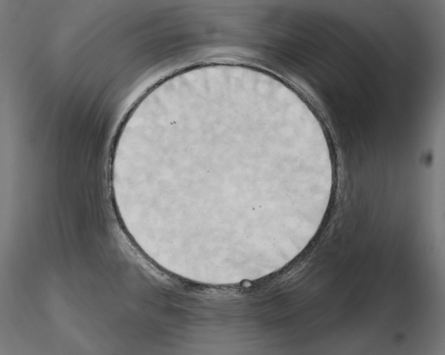 X0000115171384200912091013