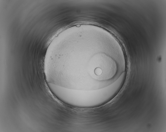 X0000115171385200912091013