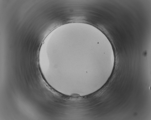 X0000115171386200912091013