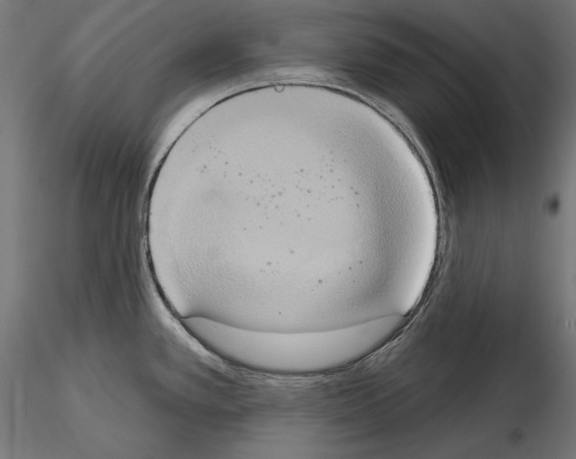 X0000115171389200912091013