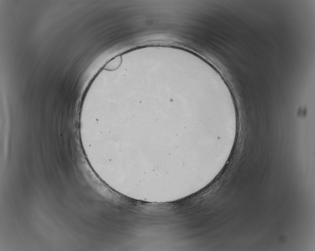 X0000115171392200912091013