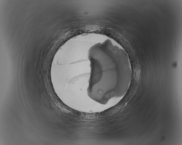 X0000115171393200912091012