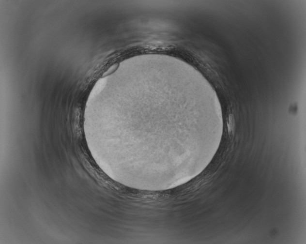 X0000115171396200912091012