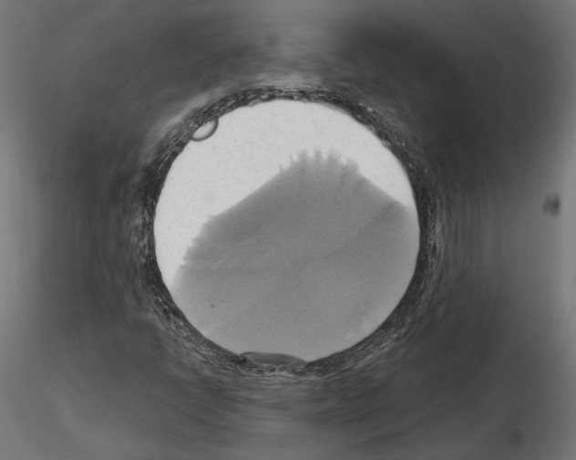 X0000115171398200912091012