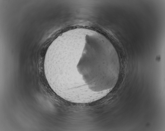 X0000115171399200912091012