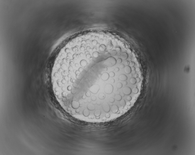 X0000115171400200912091012