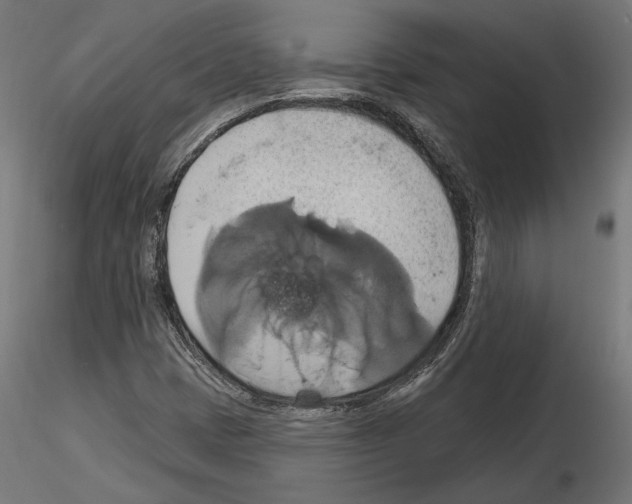 X0000115171401200912091012