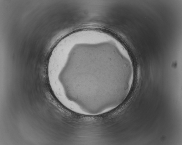 X0000115171405200912091012