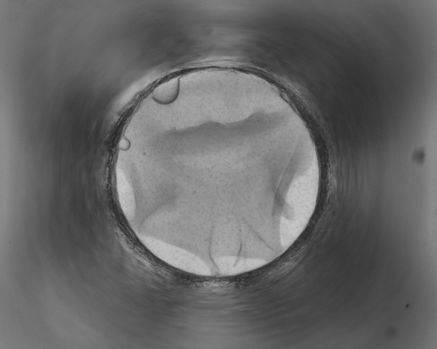 X0000115171406200912091012