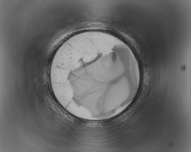 X0000115171407200912091012