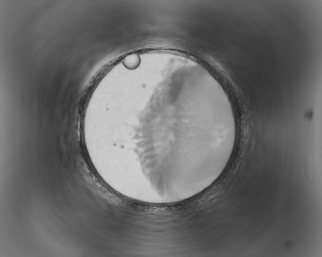 X0000115171408200912091012