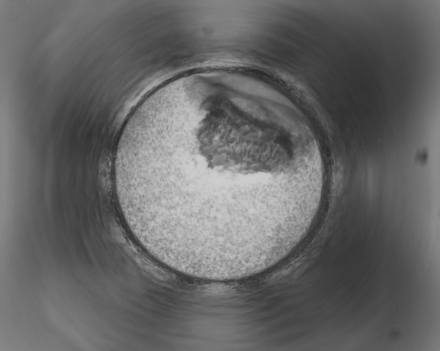 X0000115171409200912091012