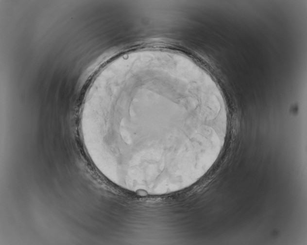 X0000115171410200912091012