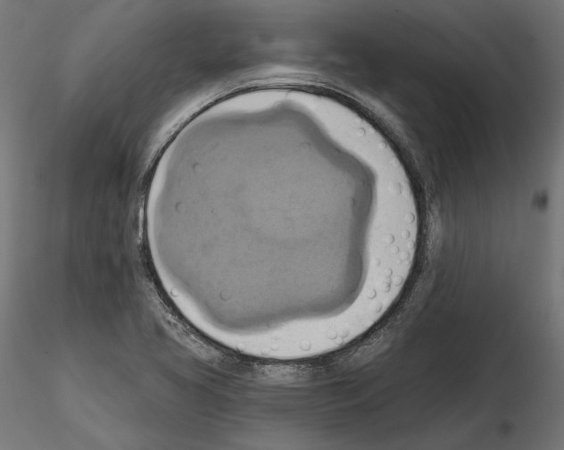 X0000115171413200912091012