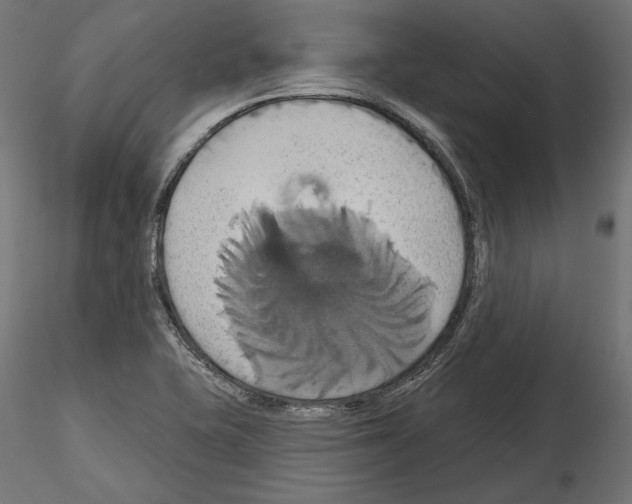 X0000115171415200912091012