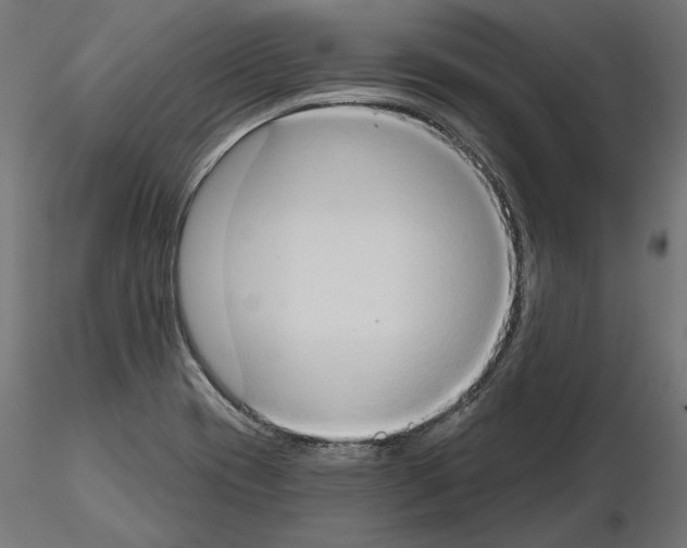 X0000115171417200912091013