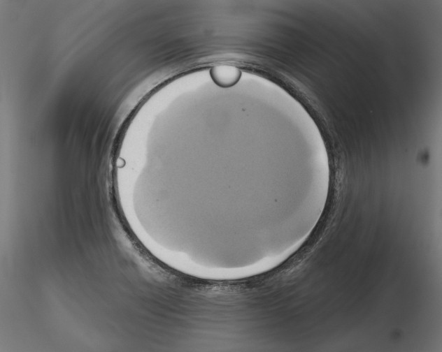 X0000115171418200912091013