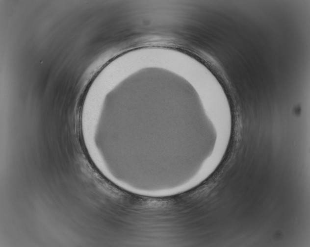 X0000115171419200912091013