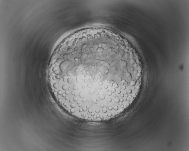 X0000115171420200912091013