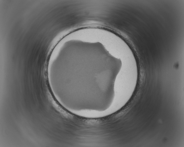 X0000115171421200912091013