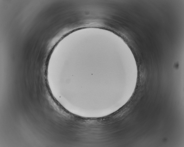 X0000115171422200912091013