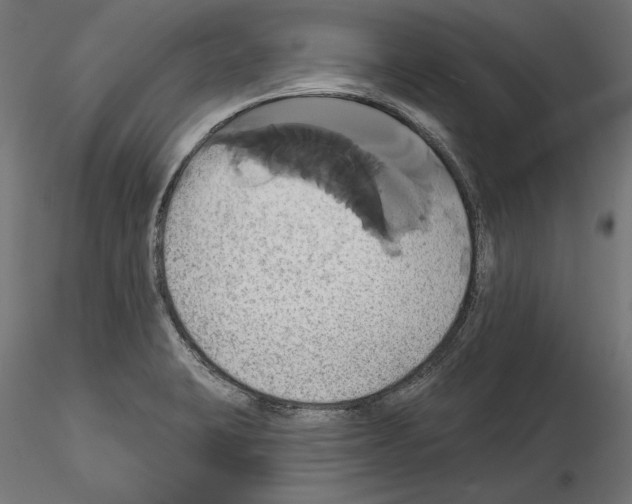 X0000115171423200912091013