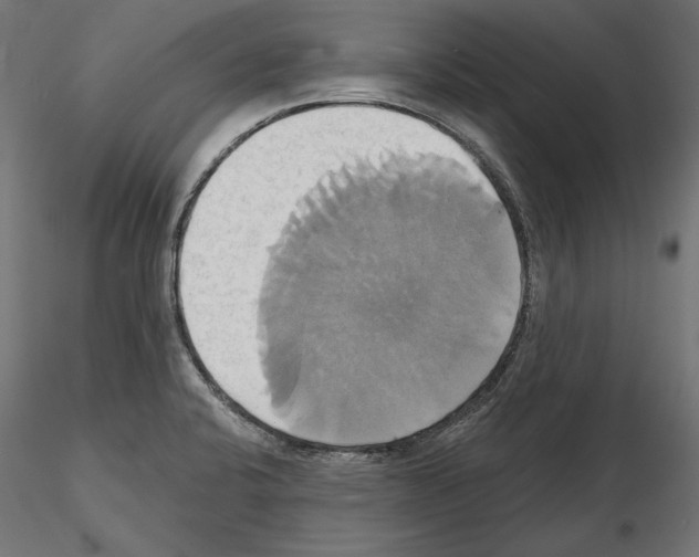 X0000115171424200912091013