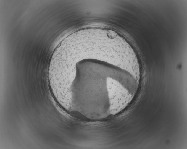 X0000115171425200912091013