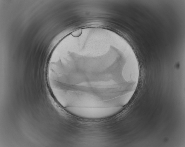 X0000115171426200912091013