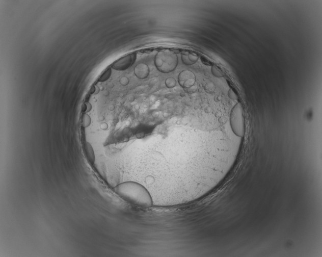 X0000115171427200912091013