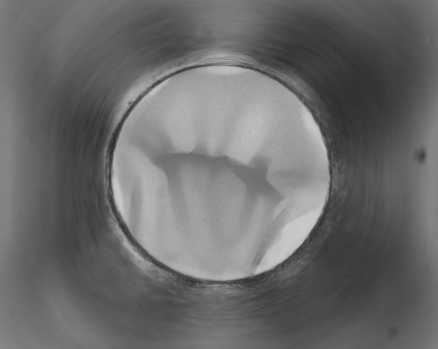 X0000115171430200912091013