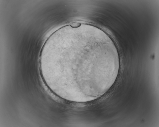 X0000115171431200912091013