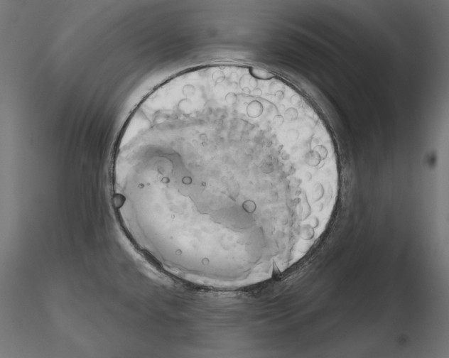 X0000115171432200912091013