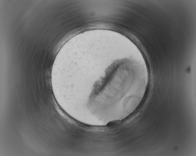 X0000115171433200912091013