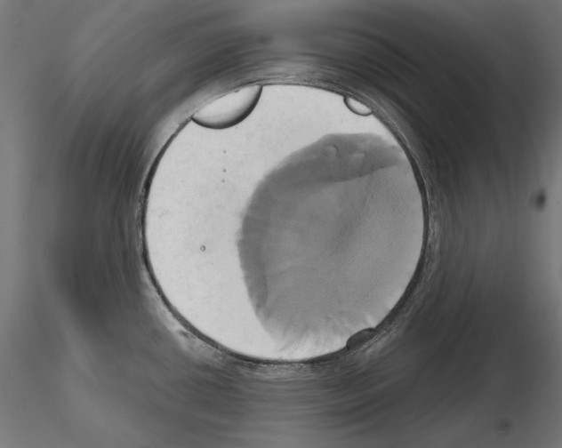 X0000115171434200912091013