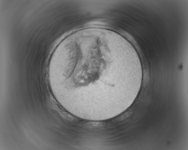 X0000115171435200912091013