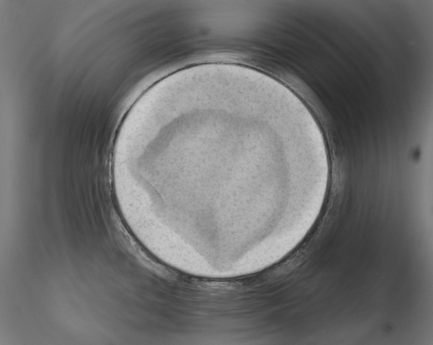 X0000115171436200912091013