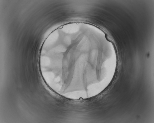 X0000115171437200912091013