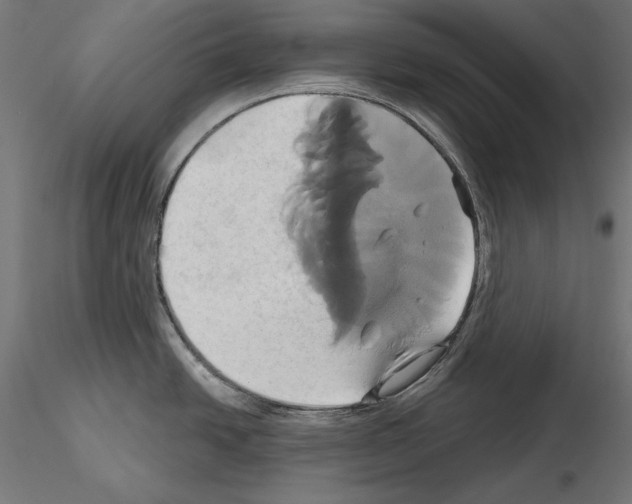 X0000115171438200912091013