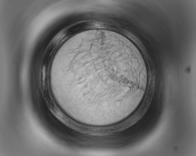 X0000115171439200912091013