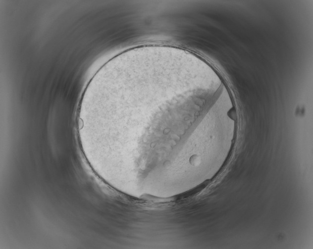 X0000115171440200912091013