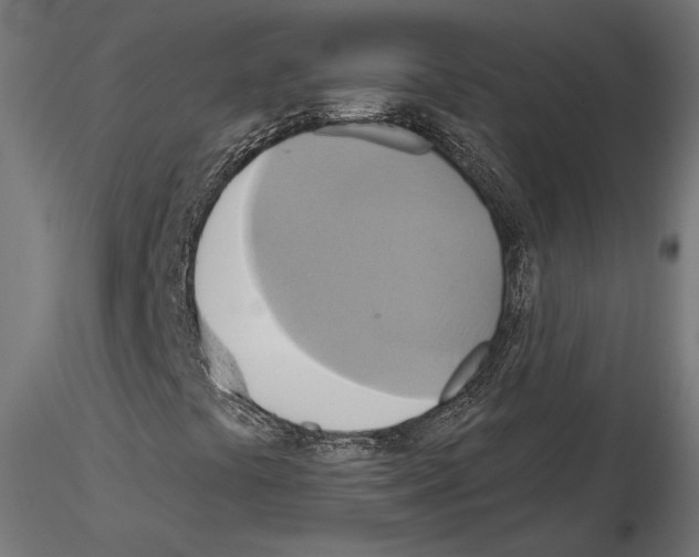 X0000115171441200912091012