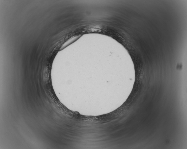 X0000115171442200912091012