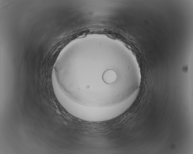 X0000115171445200912091012