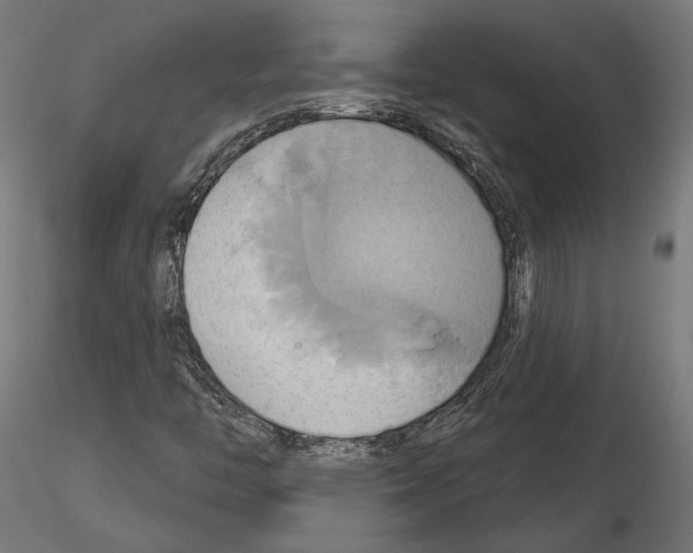 X0000115171446200912091012