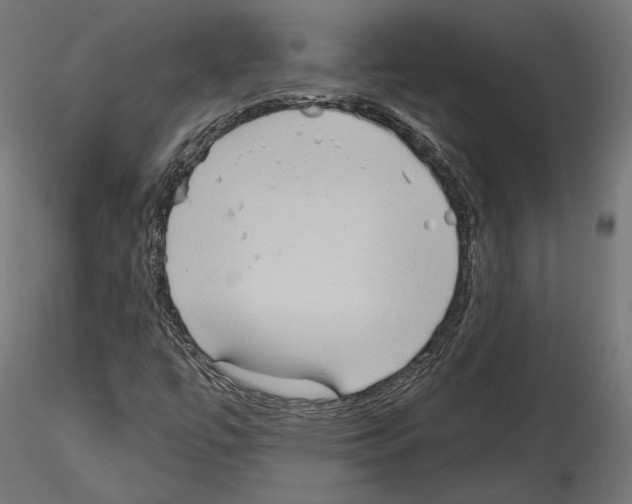 X0000115171447200912091012